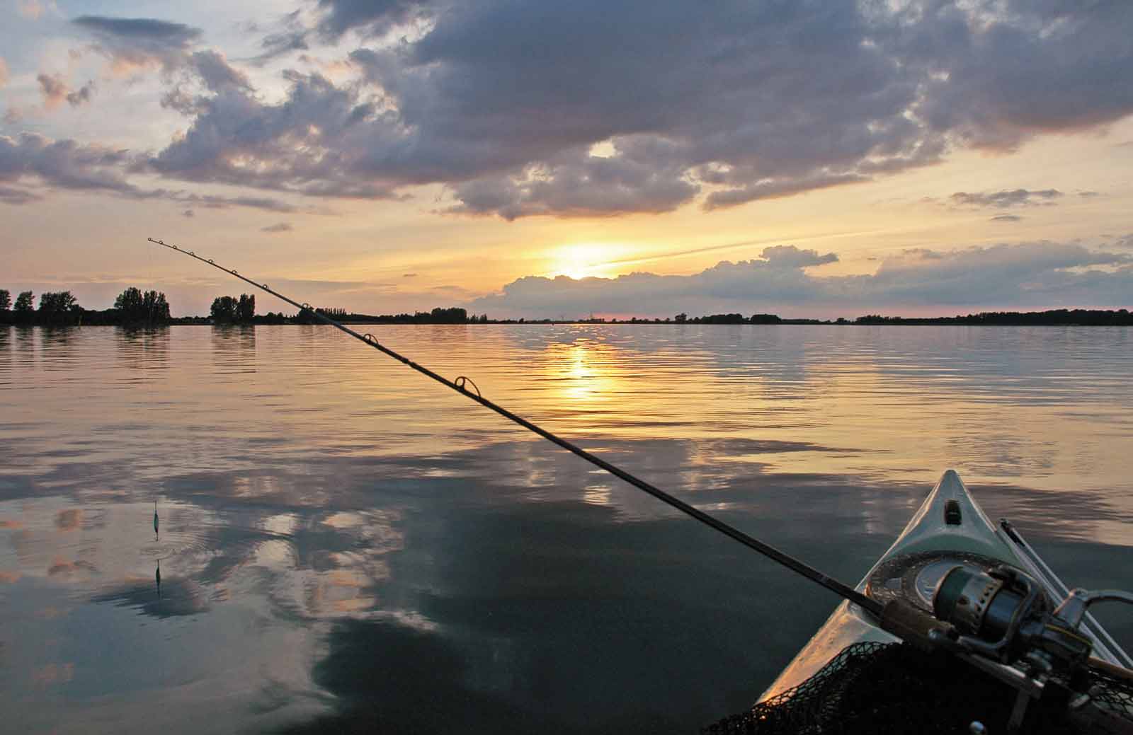 NYE TIDER PÅ ODENSE FJORD