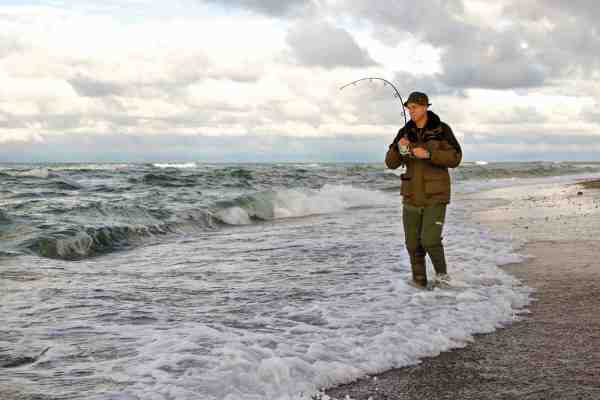 Barsen er en fantastisk fighter på traditionelt kystørredudstyr.