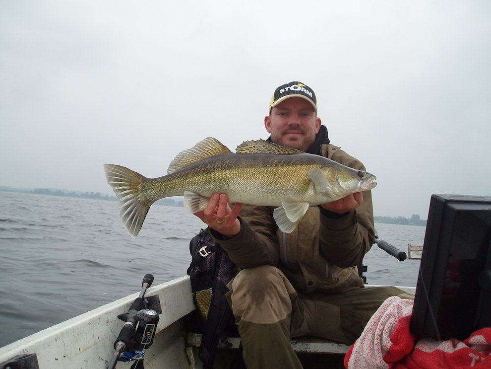 sandarterne har været i hugget