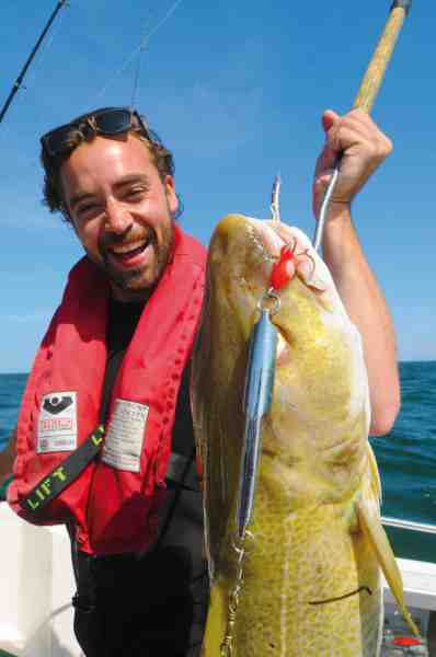 Sommertorskene kæmper fortræffeligt – og alle metoder virker. Denne fisk huggede på en pirk.