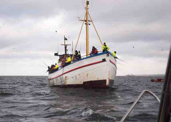 Svenske Vandia i vanlig stil med fisk i rigelige mængder. Der er gode muligheder for at få rigeligt med torsk med hjem lige nu.