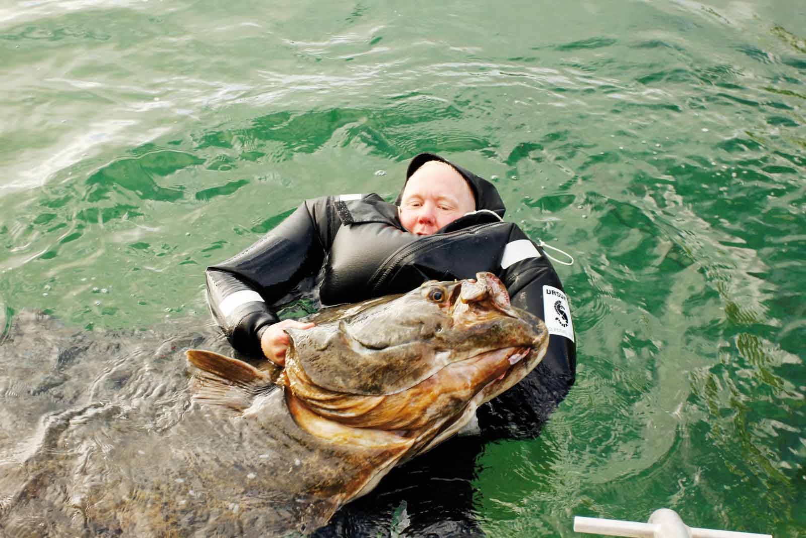 Helleflynder fiskeri i Nordnorge