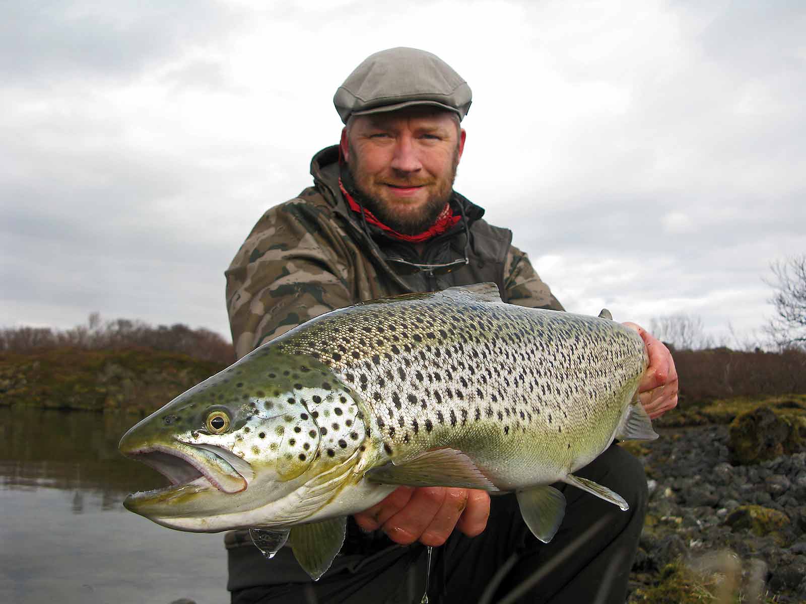 Fluefiskeri på Island giver et ufatteligt forår med den ene kæmpeørred efter den anden - sørreder og bækørreder i størrelse XXL.