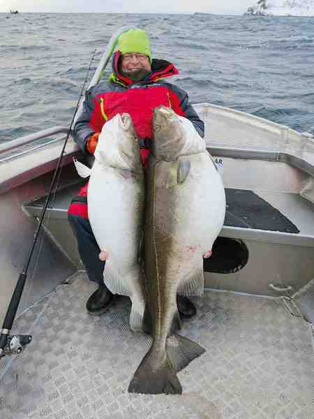 52 kilo torsk og en glad grej­handler Jan Kristoffersen fra Jans Lystfiskershop. Den ene af dem vejer 29 kilo – torsken altså.