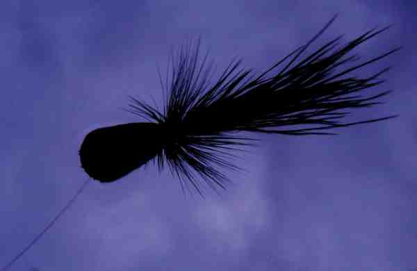 I skumringstiden er mørke fluer der laver lidt larm og tegner en tydelig silhuet mod nattehimlen effektive. Her er det skumcigaren set nedefra i havørredens perspektiv.