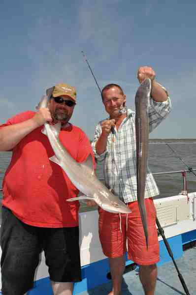 Peter Scheibye og Michael Andersen nyder det gode sommervejr og fine fangster af henholdsvis haj og havål.