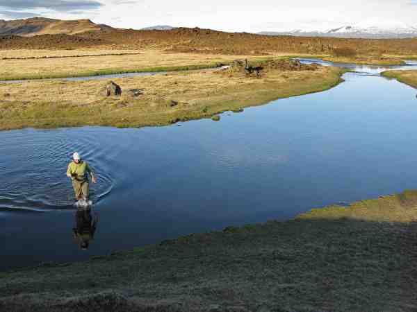Minnivallalækur er åen med nogle af Islands største bækørred – men de er rigtig svære at få i tale.
