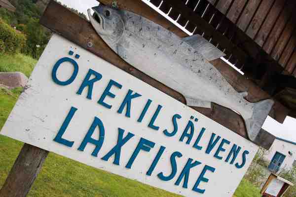 En megalaks i træ markerer, hvor man køber sine fiskekort ved Örekil.