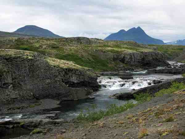 Tinnudalsa er et tilløb til Breiðdalsá, og hele elven fiskes kun med to stænger. Dette er en af Nils’s yndlingselve.