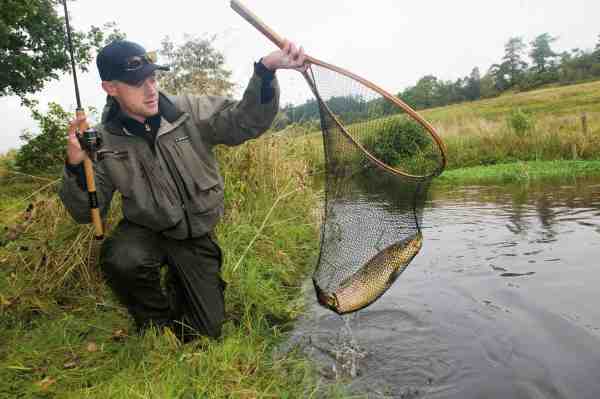 Med sikker hånd lander Esben en fin 60 centimeters fisk.