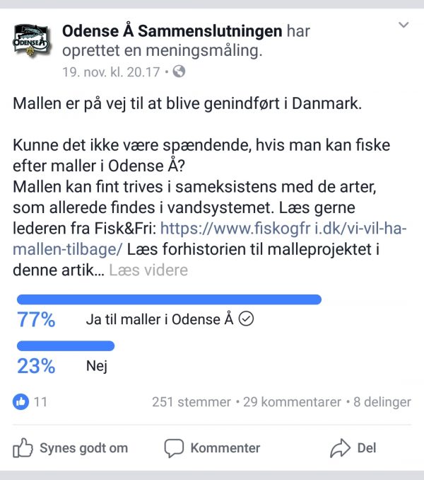 maller i odense å