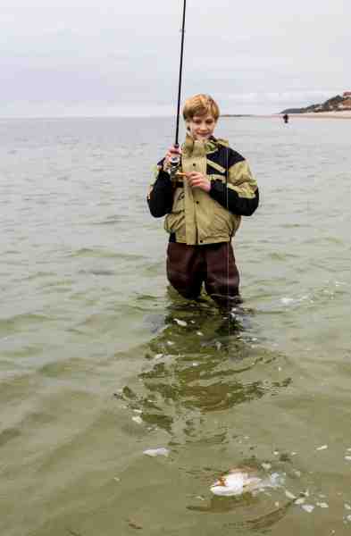 En 44 centimeters havørred har taget Cordelius flue på kanten af det mørke bælte.