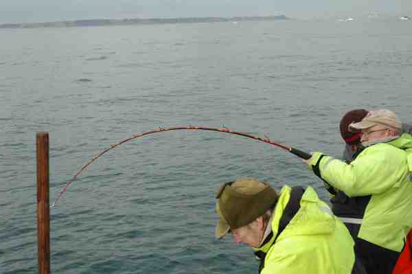Karsten med fast fisk på Øresund.