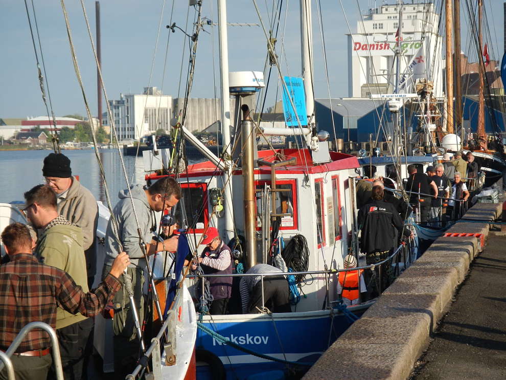 nakskov torskefestival
