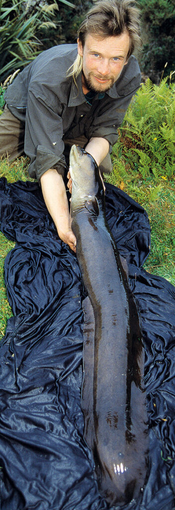 Jens Bursell med en af de første større ål på turen.