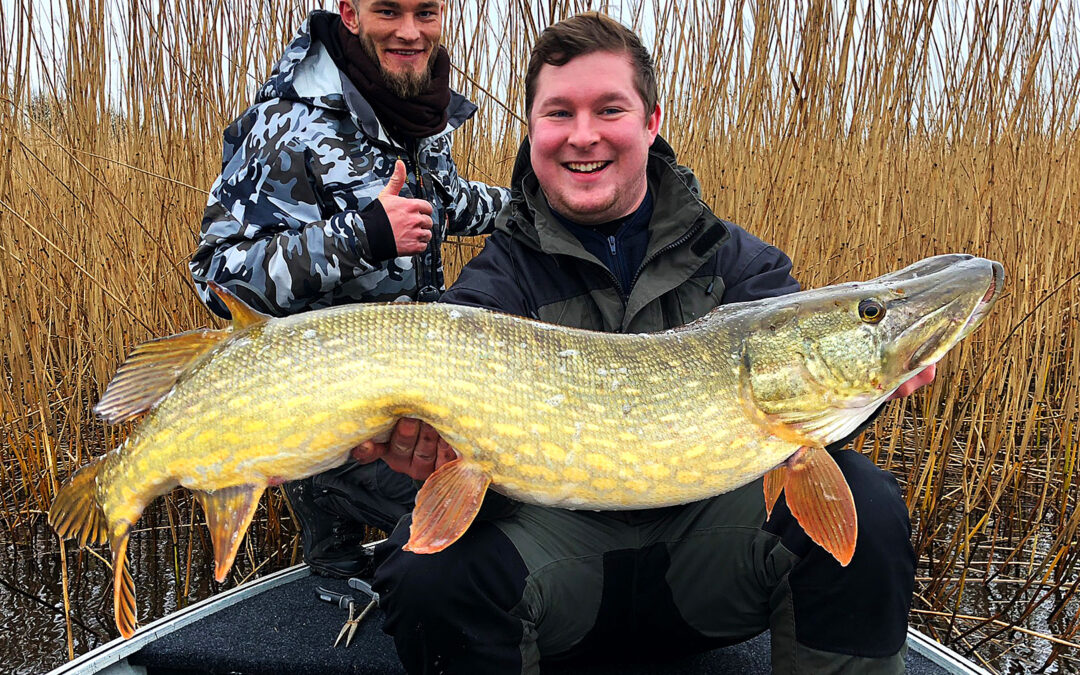Kasper Bang med jysk brakvandsgedde