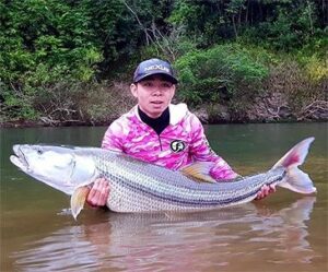 Striped Pikecarp