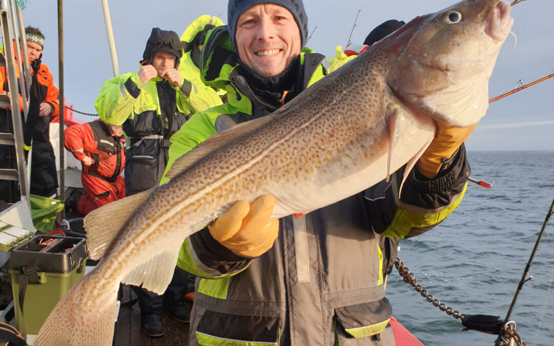 Torskefestival på Øresund