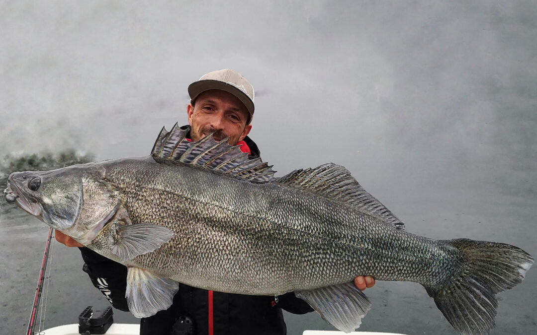 Alex Schütte med kæmpe sandart fra Østrig