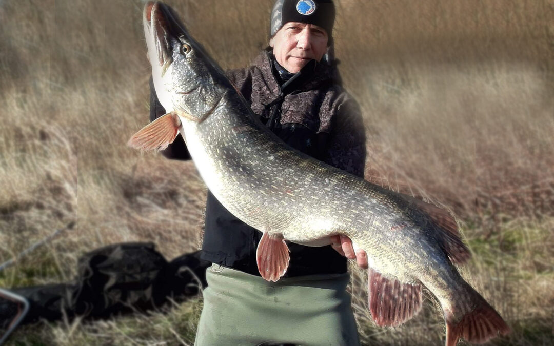 Bo Mortensen med 12 kilos gedde taget på død agn