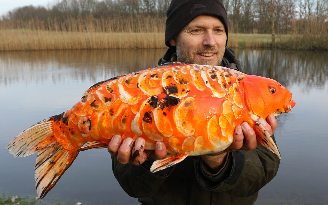 Henrik Carl med en flot spejlkoikarpe