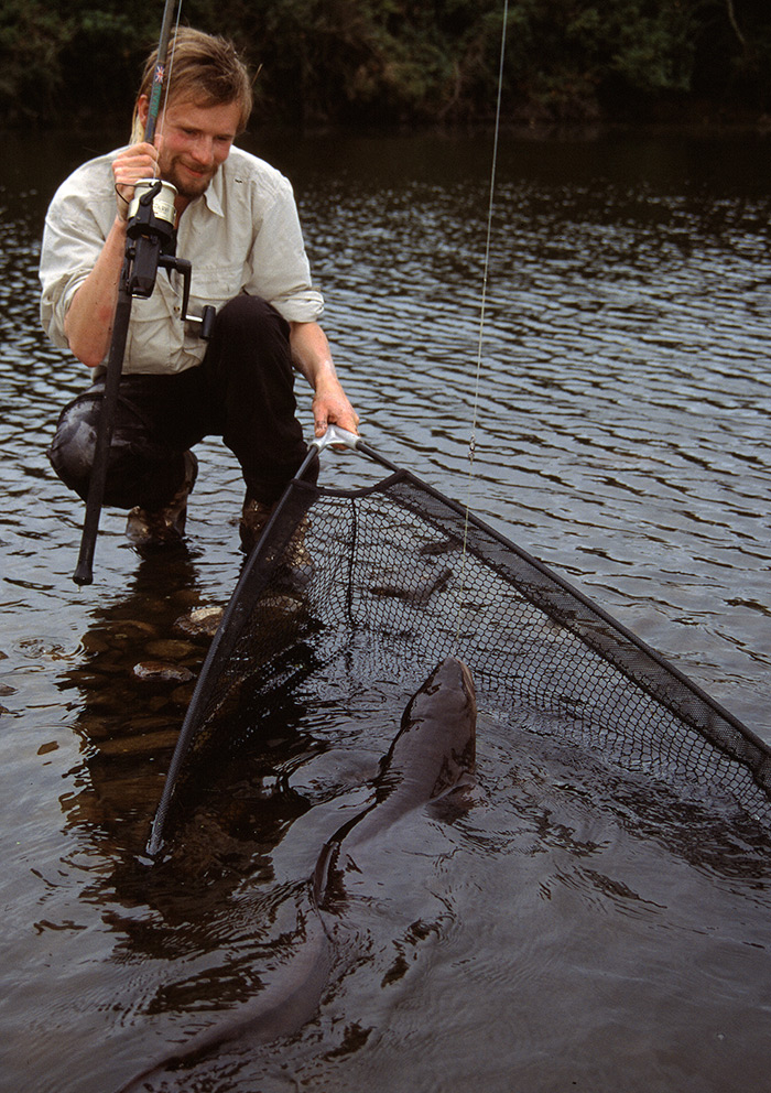 Jens Bursell lander longfinned eel fra New Zealand