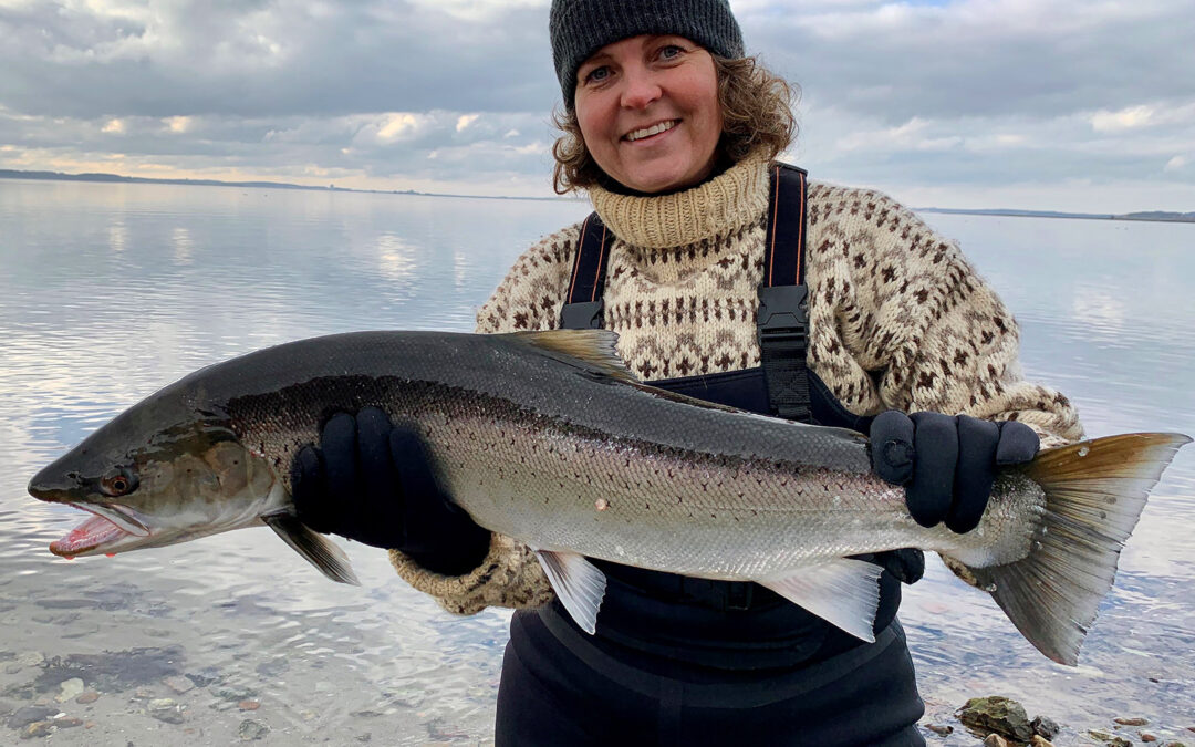 Sika Myrner med 5,3 kilos havørred fra Isefjorden