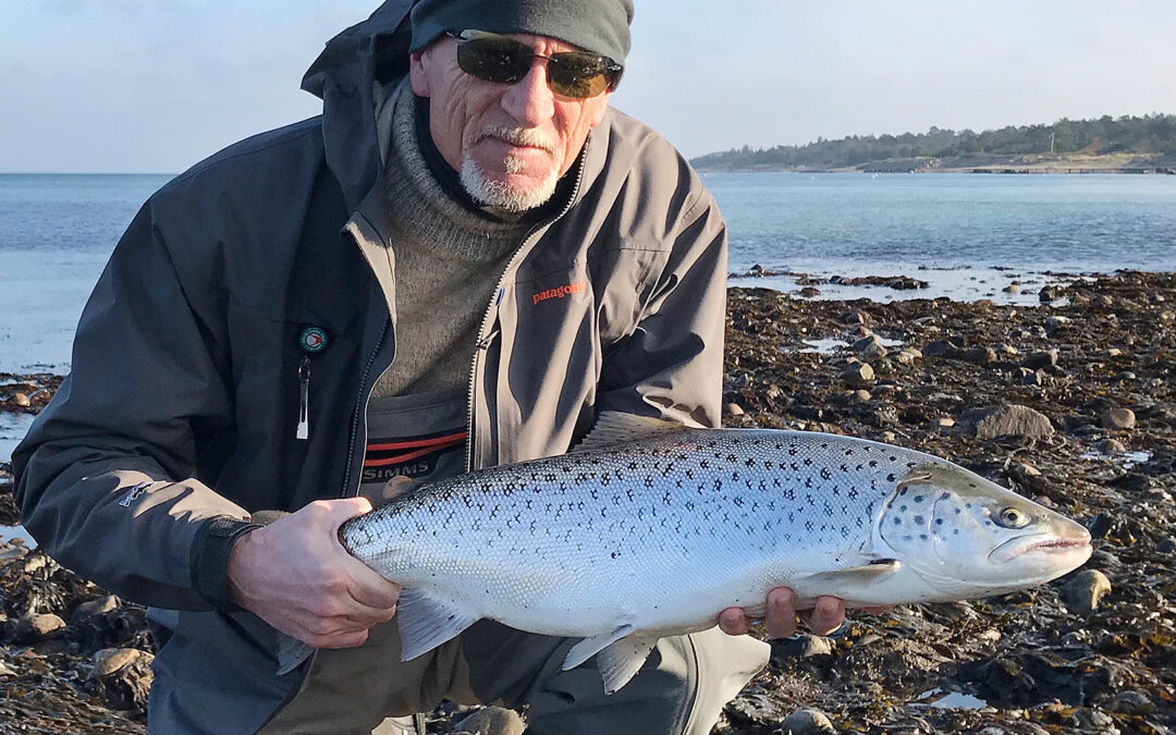 Svend Hovgaard med flot havørred taget på kystfluefiskeri