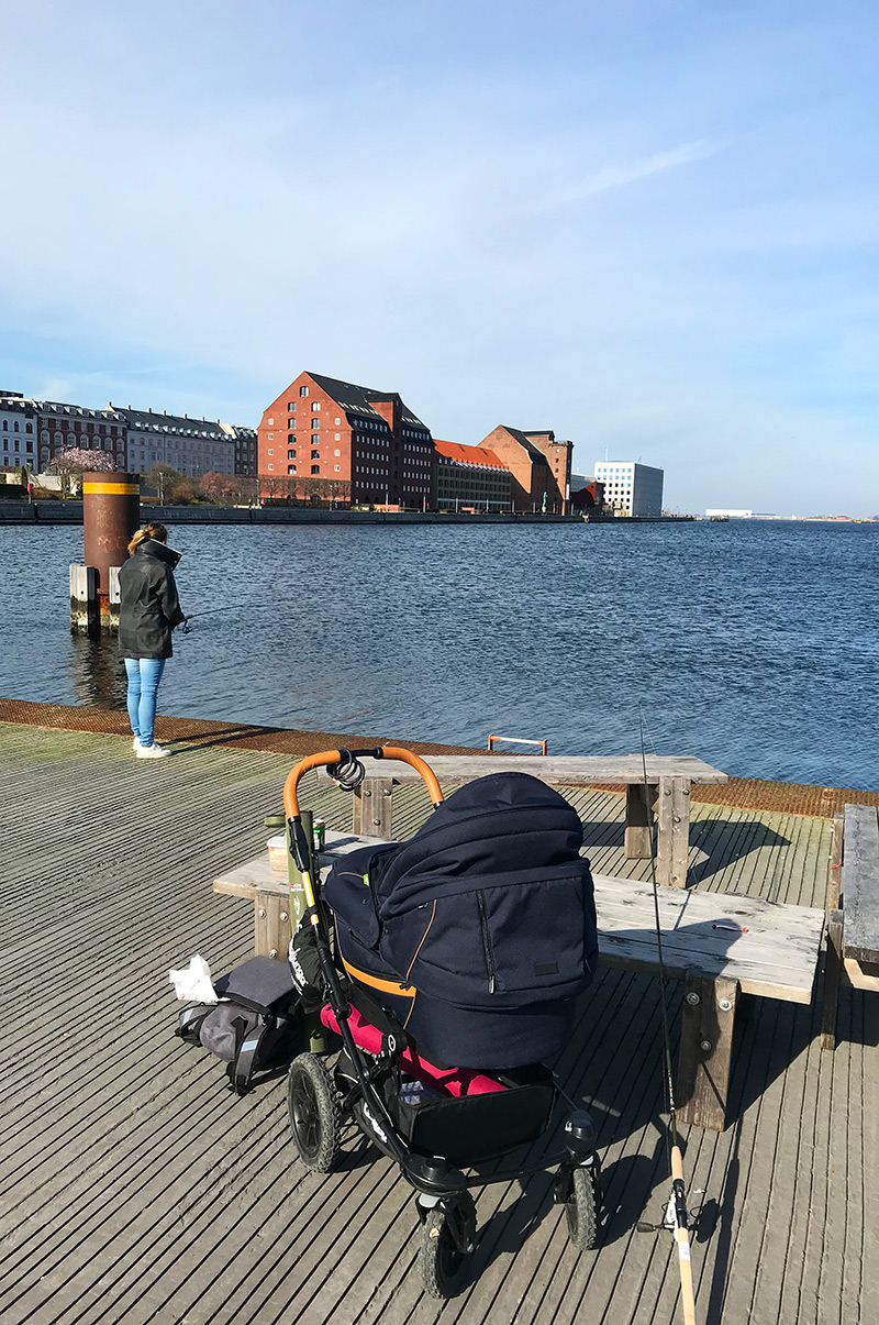 Fiskeri i Københavns Havn