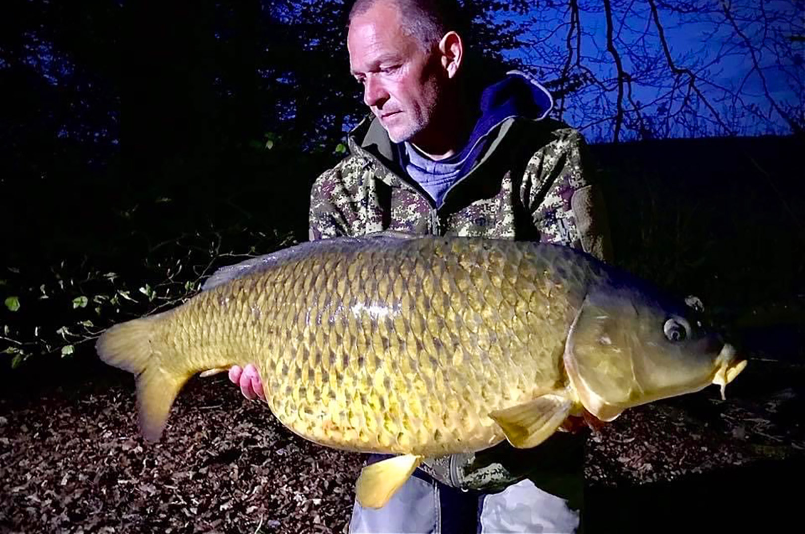Fantastisk skælkarpe på over 15 kilo