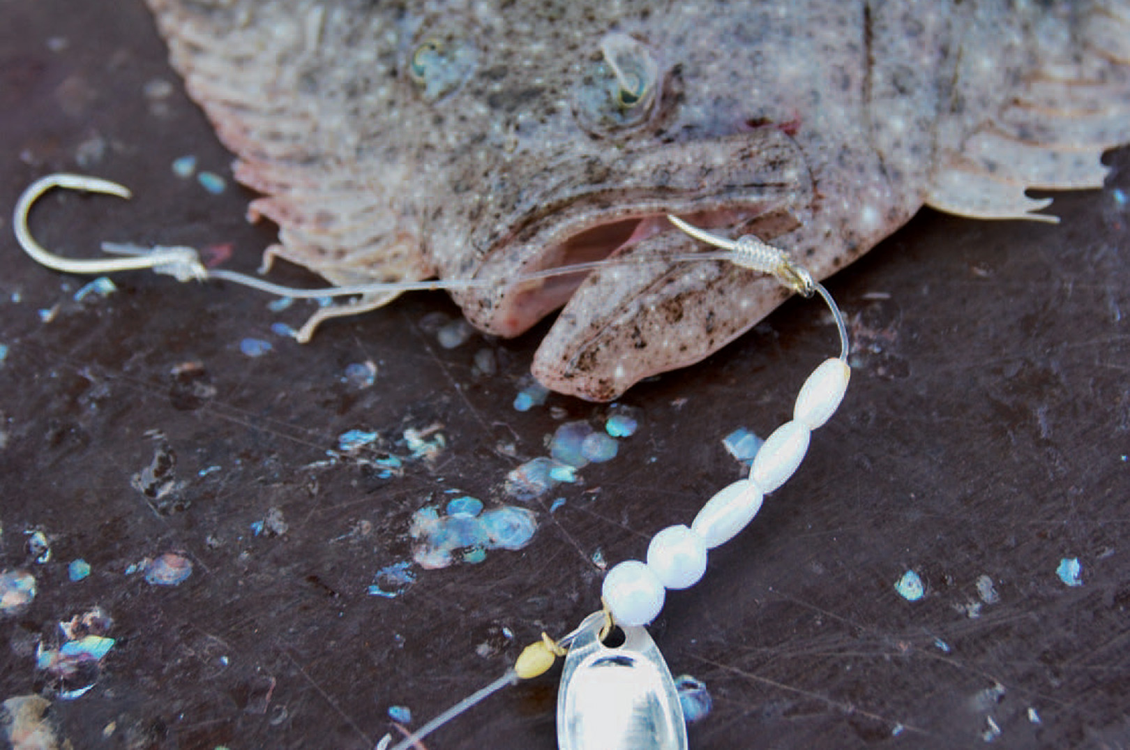 Et af Nikolajs favorittakler til pighvarrerne, har perler og et lille spinnerblad foran krogen.