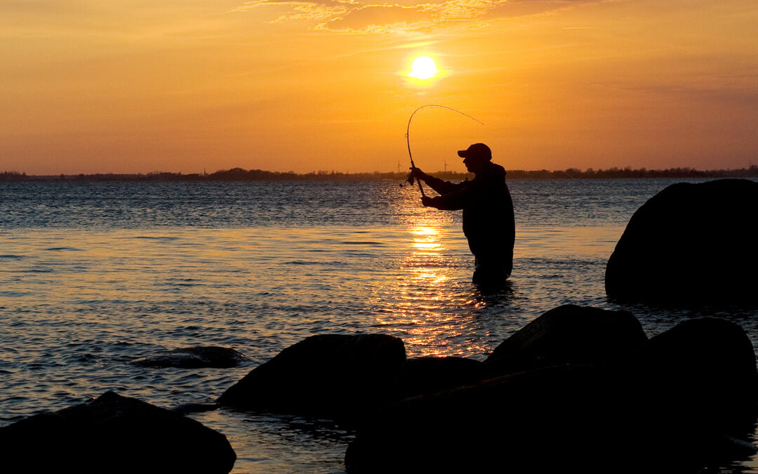 Bæredygtig fiskebeklædning