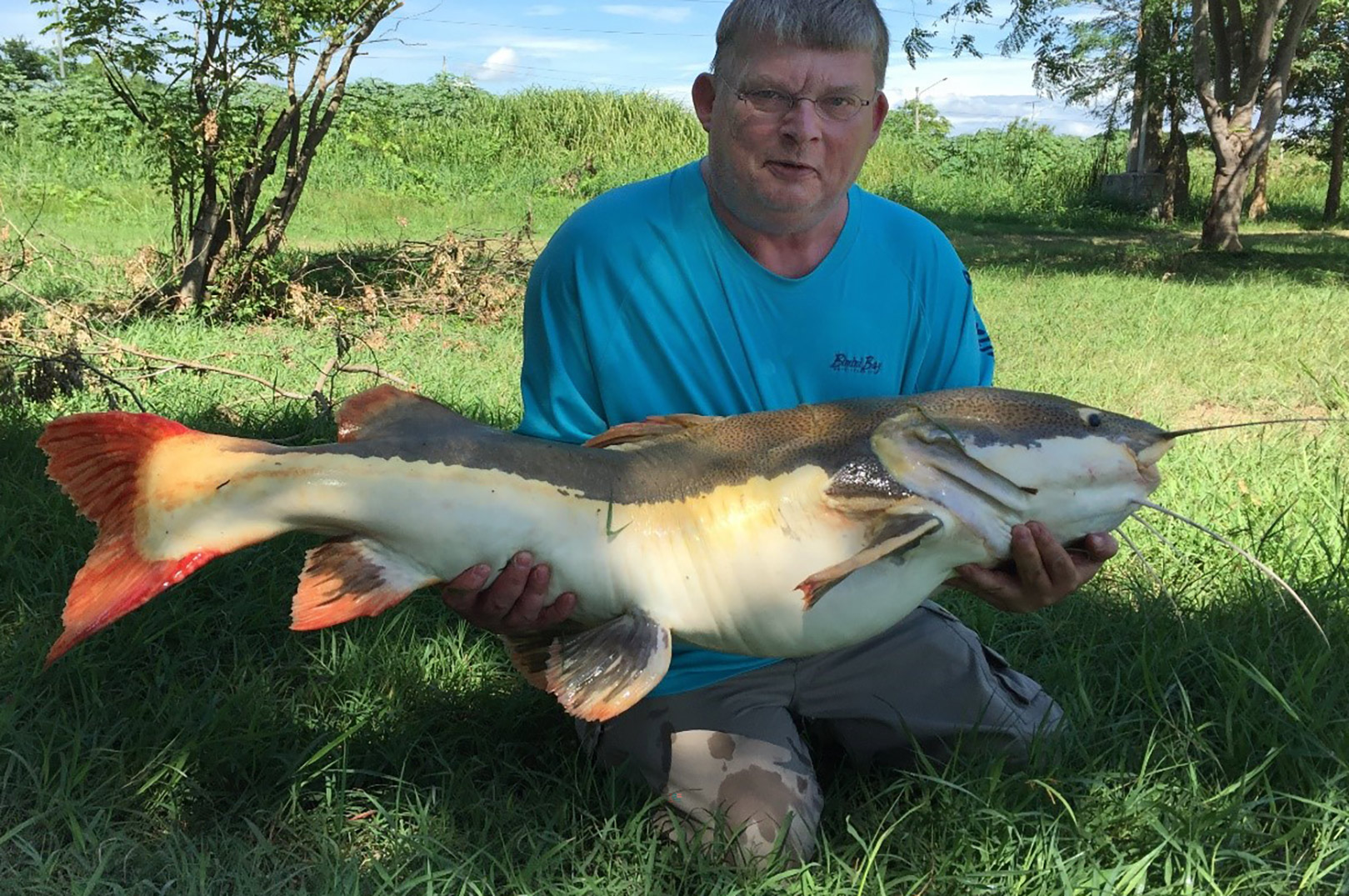 Redtailed catfish er en af de mange arter fra Amazonas, men også kan fange som udsat fisk i Thailands fiskeparker.
