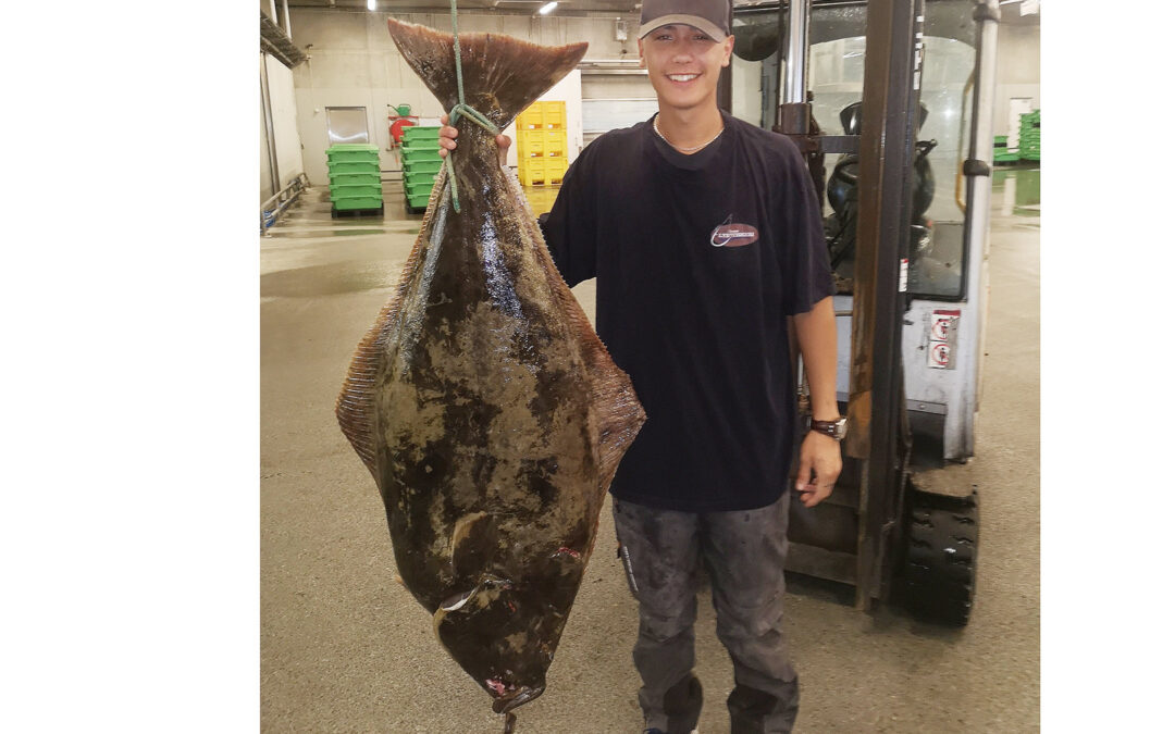 Der er ialt godkendt 22 nye fiskerekorder - blandt andet denne 38 kilos helleflynder taget af Jacob Lausen.