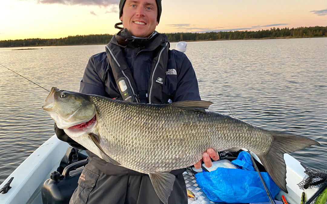 Rasmus Skaaning med en flot asp på over fem kilo