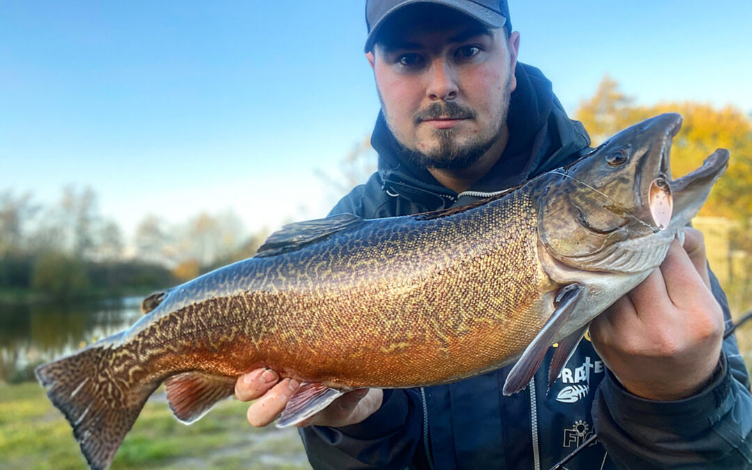 Rasmus Wølck med en flæot tigerørred på tre kilo fra Tusågårds Put and Take
