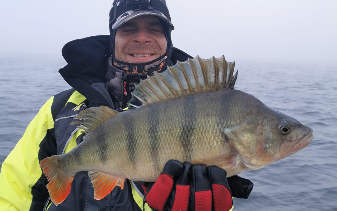 Adam Snarski med sin flotte 49 cm aborre taget på pirk