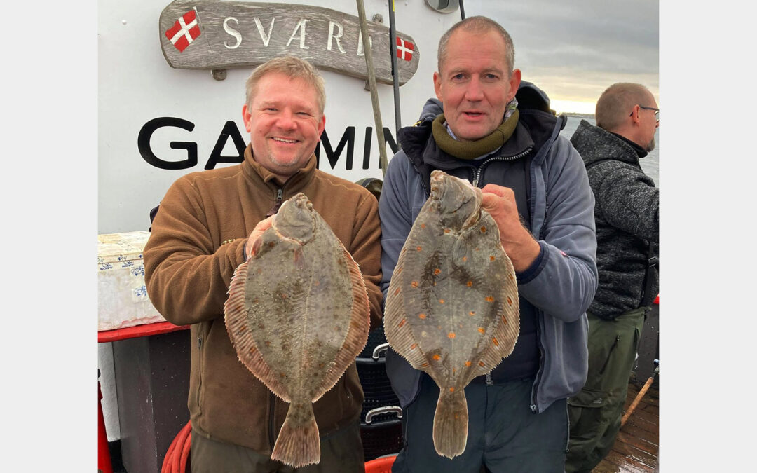 Flotte fladfiskefangster på Sværd.