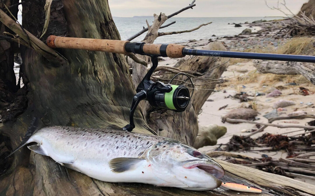 Fiskedagen på kysten gav 10 fine havørreder til Lars Løve Lund - inklusiv denne smukke fisk.