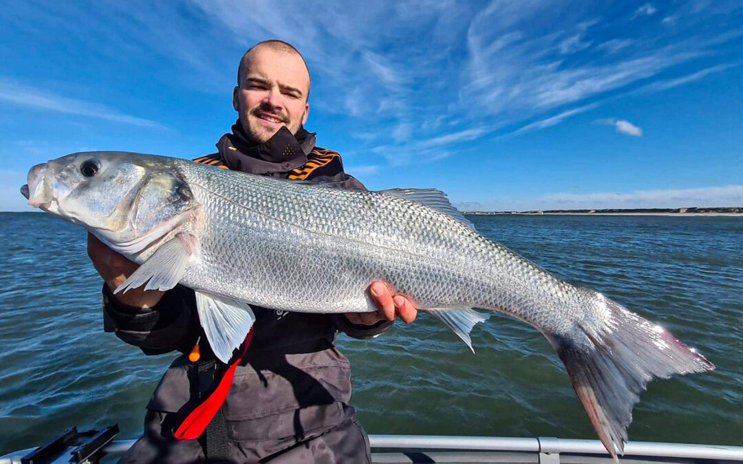 Havbarssæsonen bød på masser af store fisk til Mikkel Matzen - helt op til 75 centimeter.