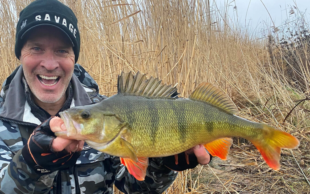 Mads Grosell med stasningens største aborre - en mege flot fisk på 2150 gram og 48,5 cm