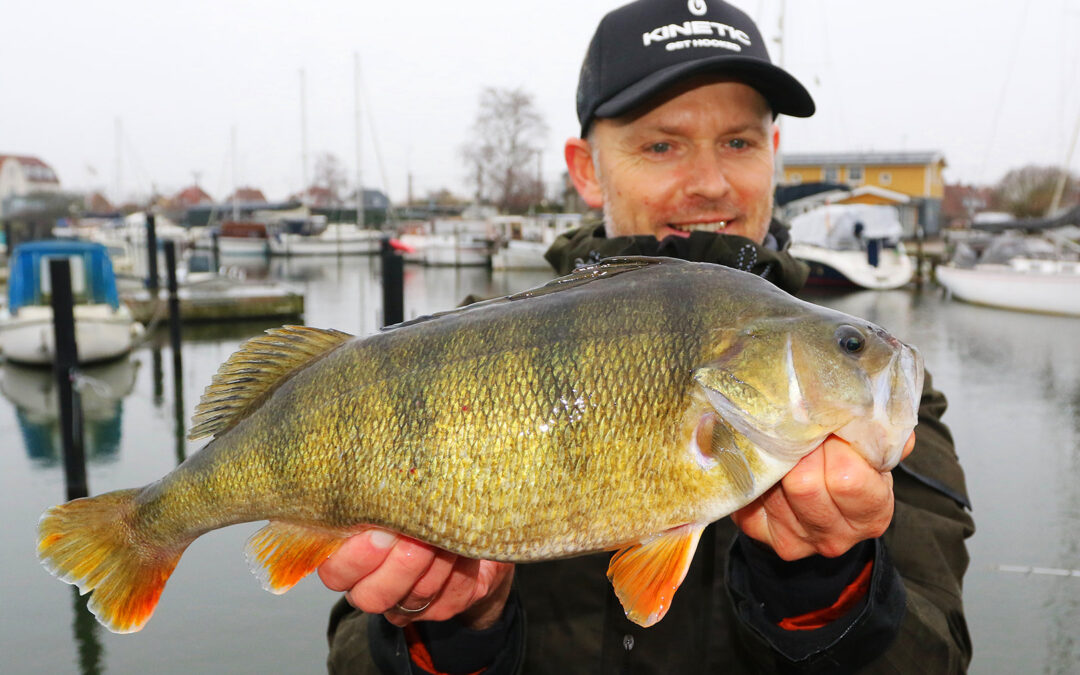 Henrik Carl med en flot aborre på 1490 gram fra Køge Å