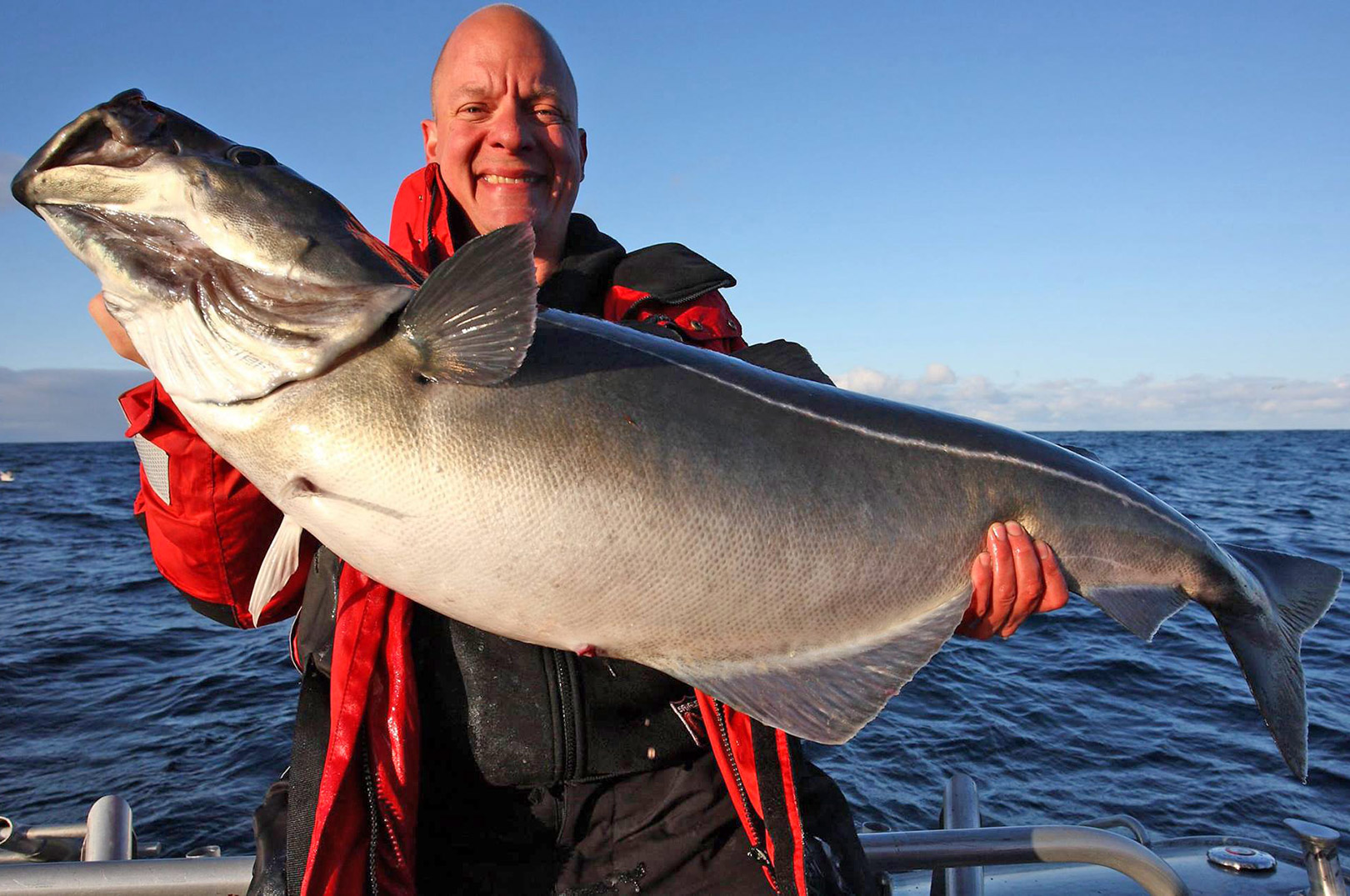 Carsten Faber er en uhyggelig skrap havfisker, der har mange store fisk på samvittigheden - her en sej få hundrede gram fra verdensrekorden. 