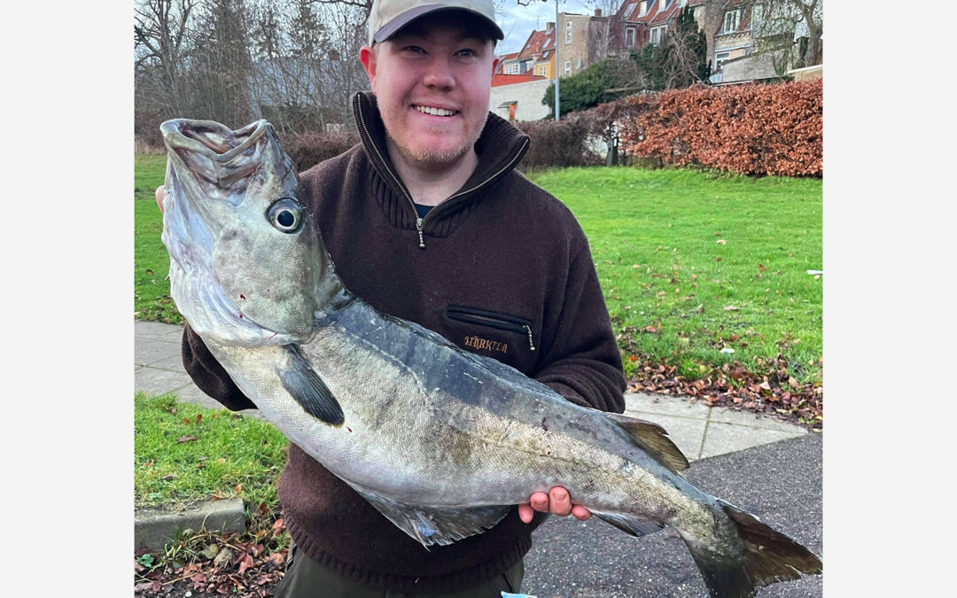 Martin Bjergsø med sin flotte lubbe fra Langelandsbæltet.
