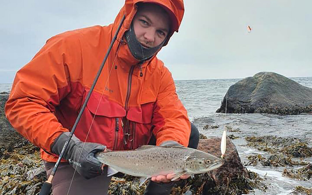 Teis med sin fine fynske havørred