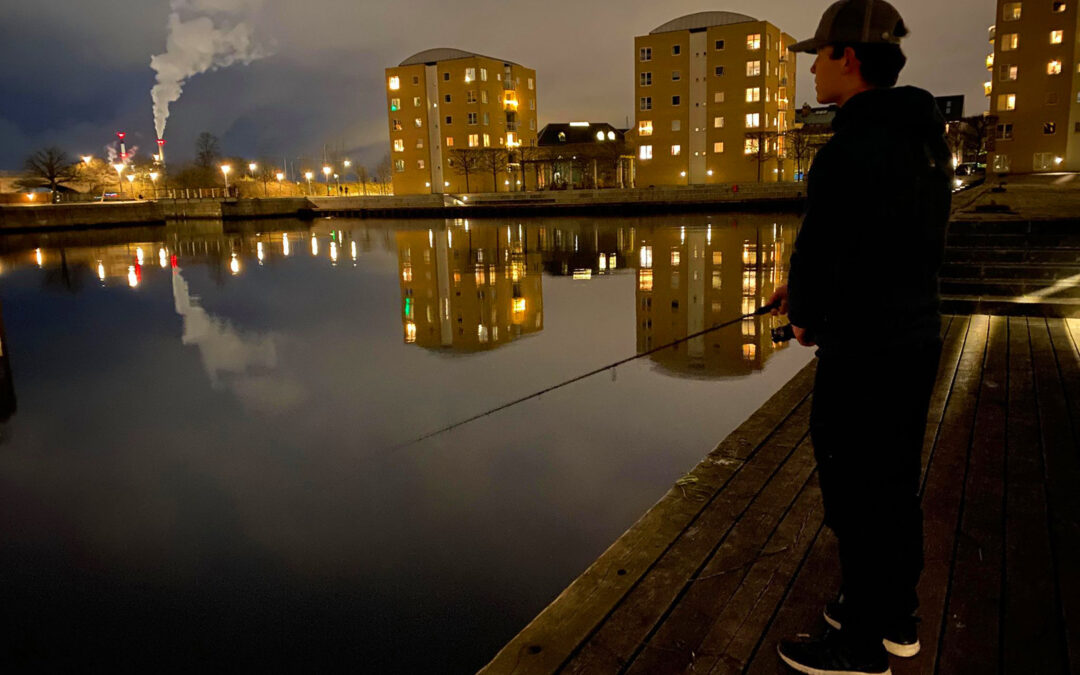 Fiskeriet i Københavns Havn er spektakulært efter mørkets frembrud.