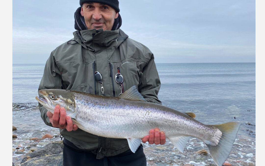 Christobal med sin blændende smukke overspringer fra Nordsjællands Nordkyst