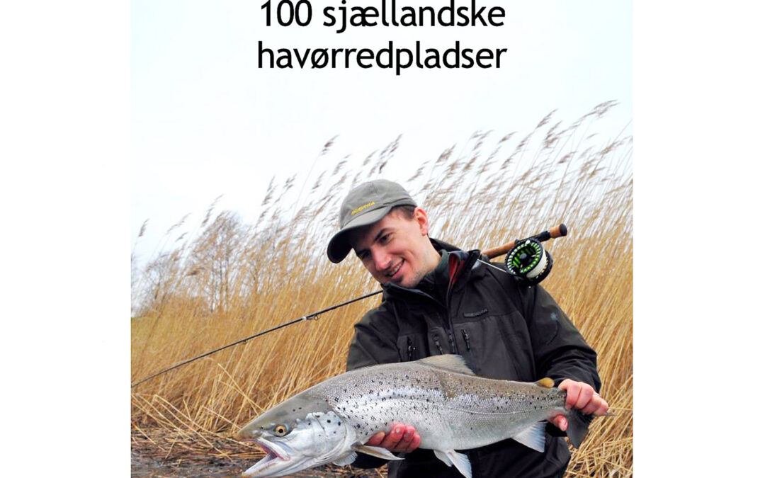 Sjællandske kystpladser af Rasmus Ovesen