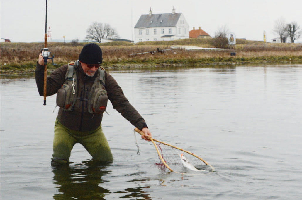 Vinterfiskeri er ofte ensbetydende med fiskeri efter ”Grønlænderne”. Når man først finder stimerne, er der mulighed for at gøre gode fangster.