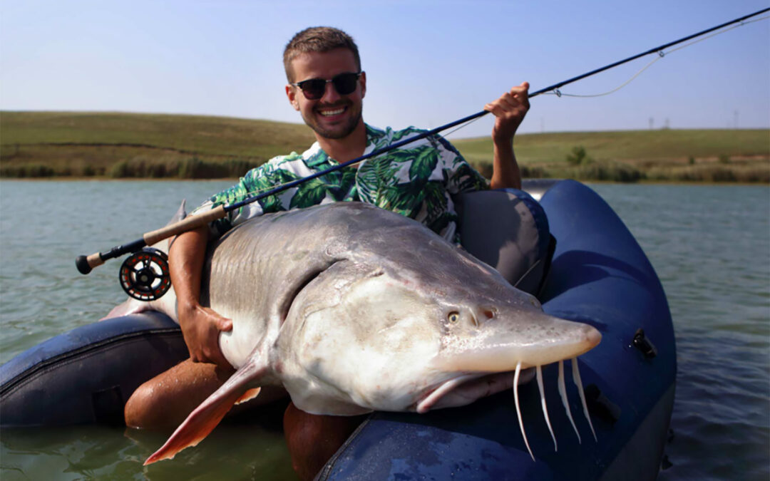 Sarulesti søen byder på et fantastisk belugafiskeri med fisk op til 300 kilo - og de kan som her også fanges på flue.